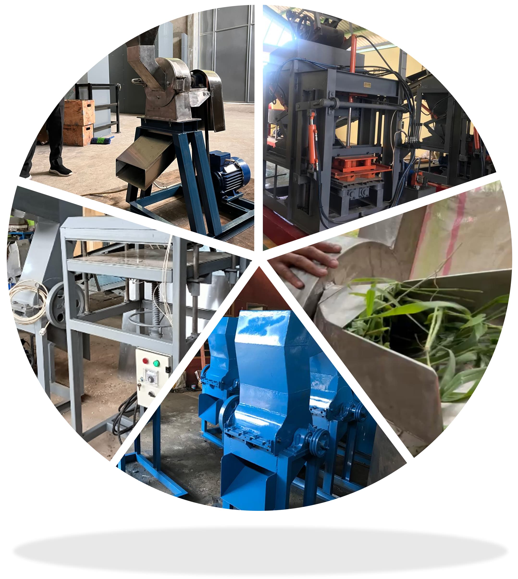 sliced images of activity